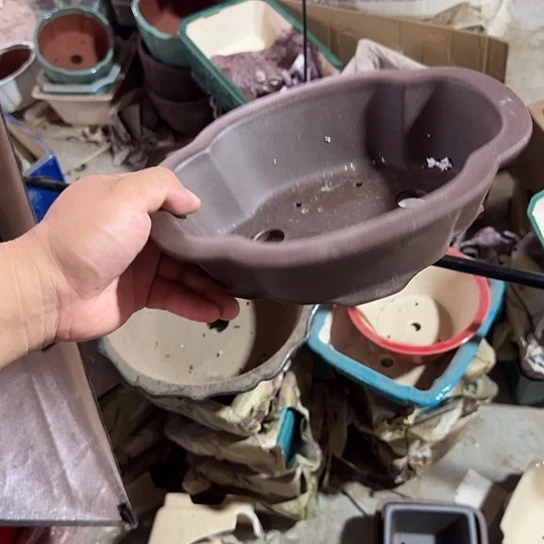 你说了就可以啊嘛你不是想
