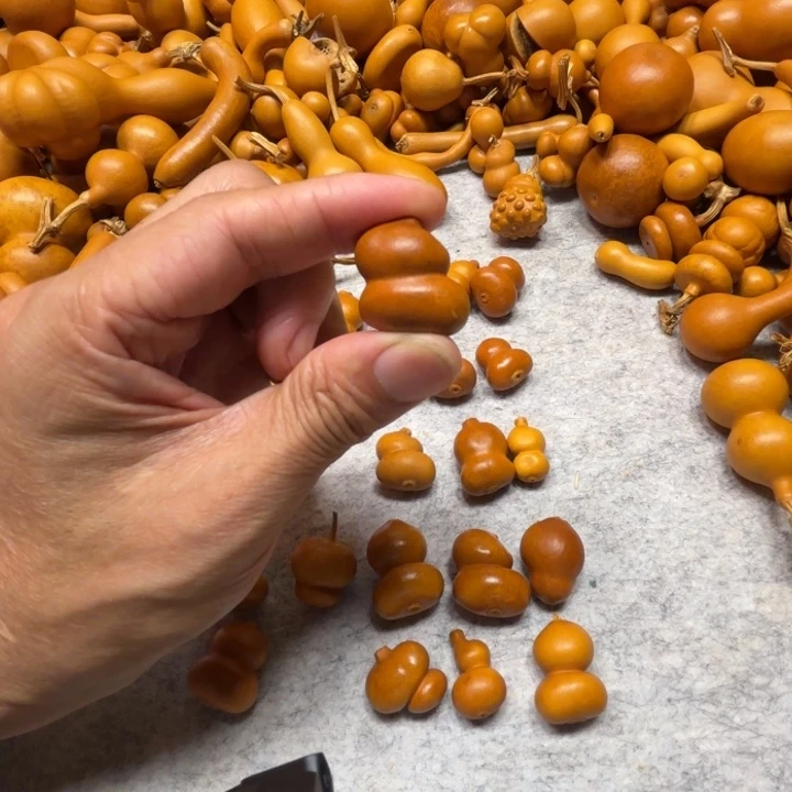 大****他也大鱼海棠的衣服把钱带走了