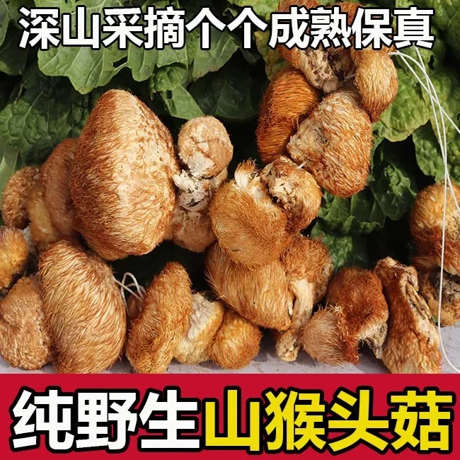 长白山猴头菇 250g*2袋