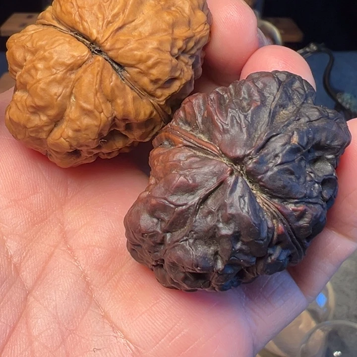 文玩核桃把件甲*虫九五阴阳