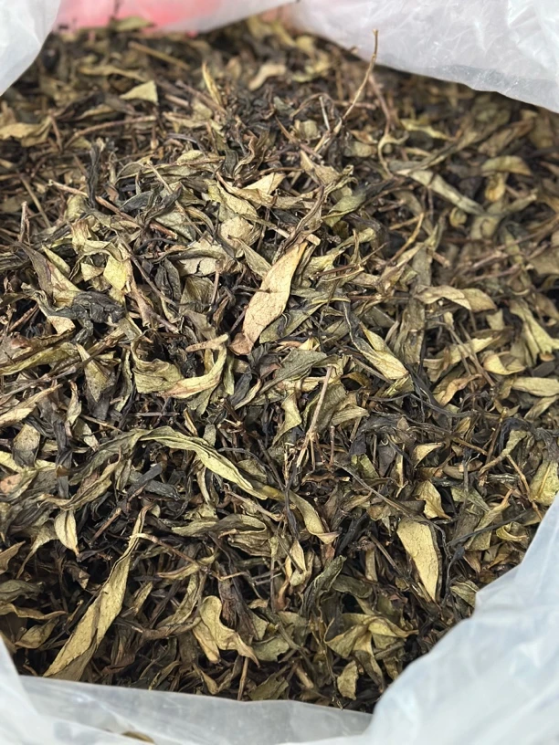 【好喝不好看】高货茶头【高山老丛鸭屎香/蜜兰香茶头】400克高香甜水