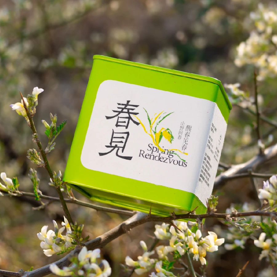 2025年 云南绿茶滇绿  头春头采绿茶 云南大叶种绿茶