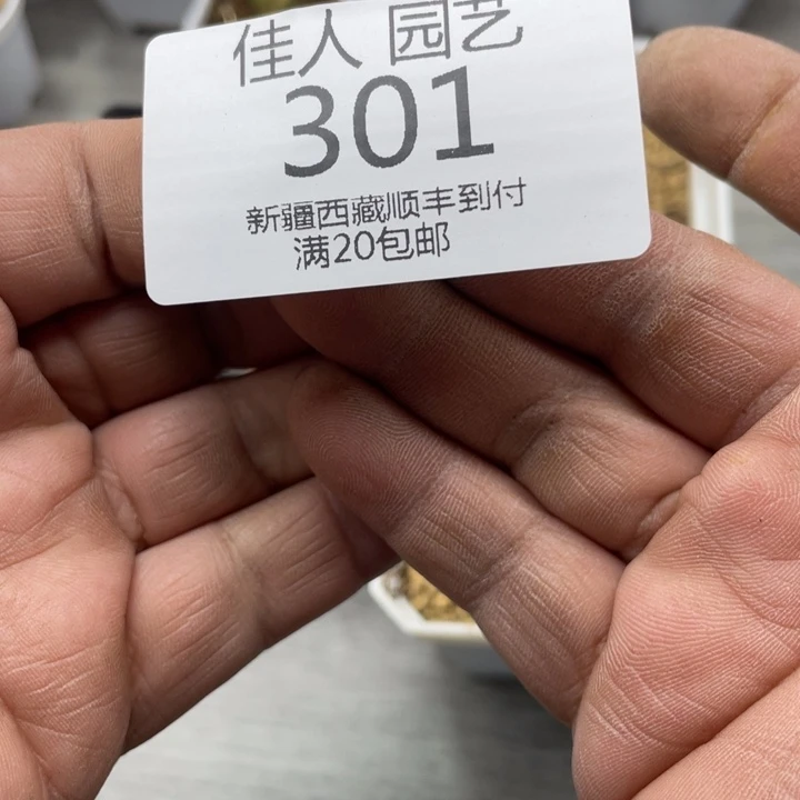 R****1三要要发个决定今年开始301