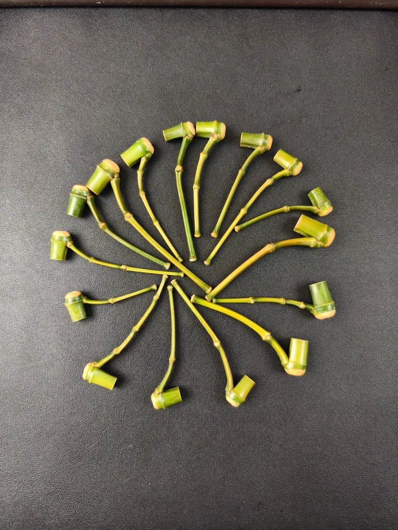 天然一体小竹子手工斗