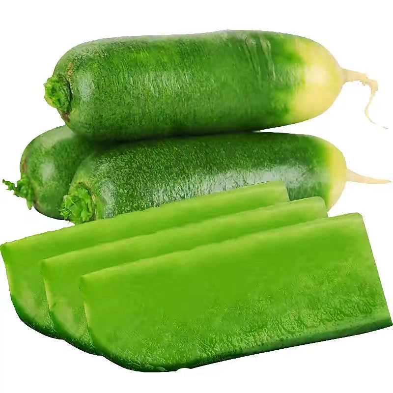 现拔现发水果萝卜正宗潍坊青萝卜潍坊水果萝卜青皮绿心脆甜多汁