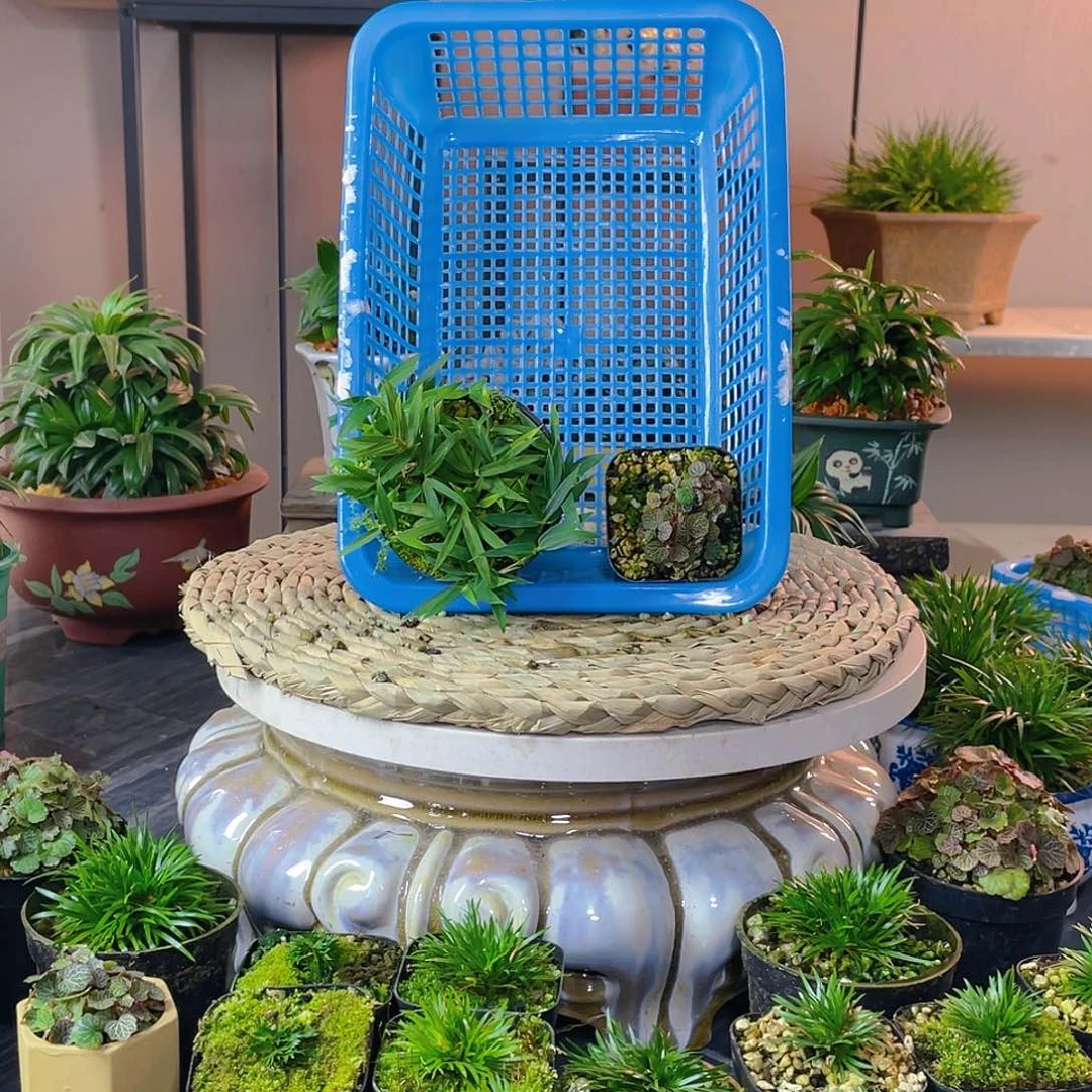 【闪购商品】完全开放