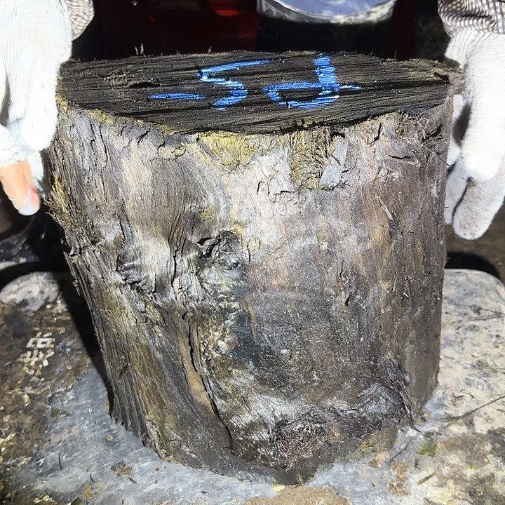 老***品金丝楠啊啊啊啊啊啊啊