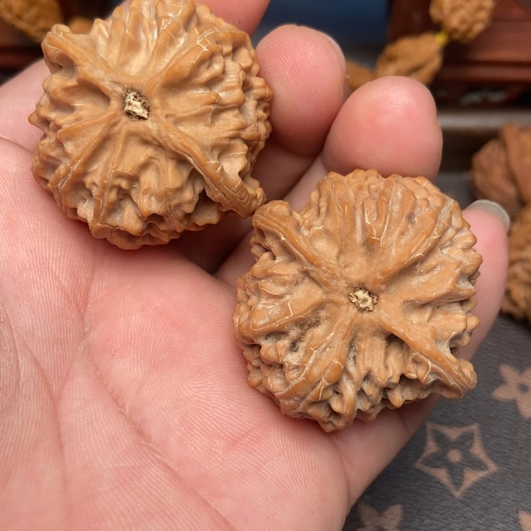 文***西核桃苹果园边43肚子42