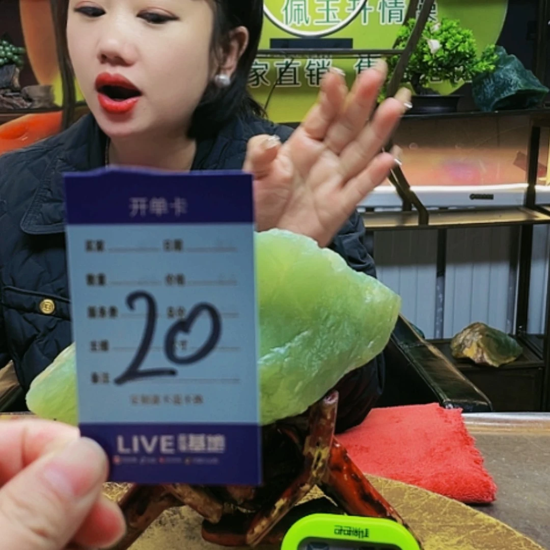 【闪购商品】蛇纹石玉原石未镶嵌王*