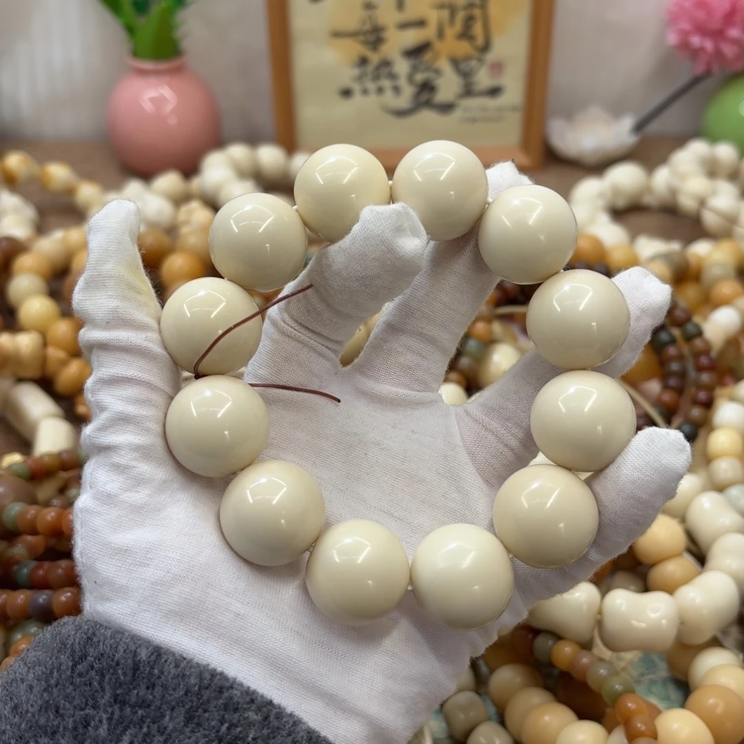 菩提根/象牙果吊坠22干磨微瑕牙果圆珠111