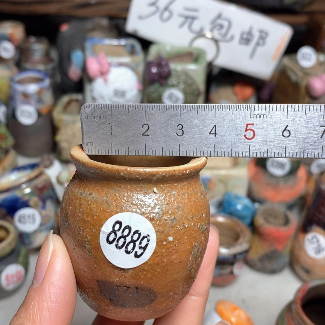 拍5送一个小礼物