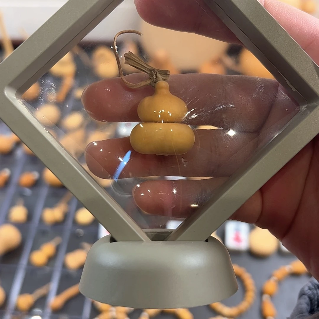 L**n葫芦娃的时候我也是醉了