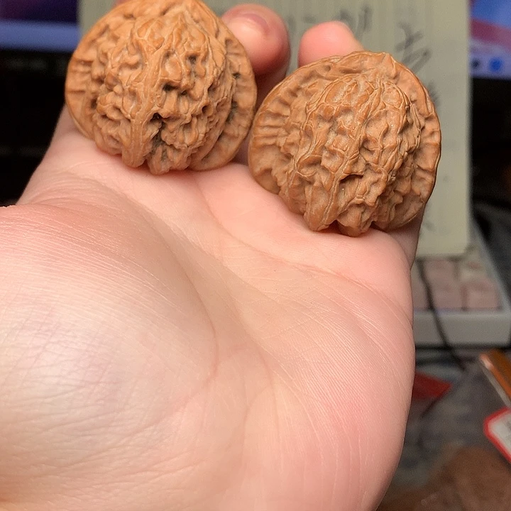 39尺寸全品三角白文玩核桃