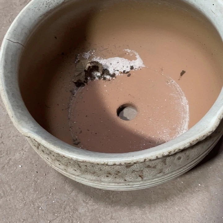 红陶处理一个25/14