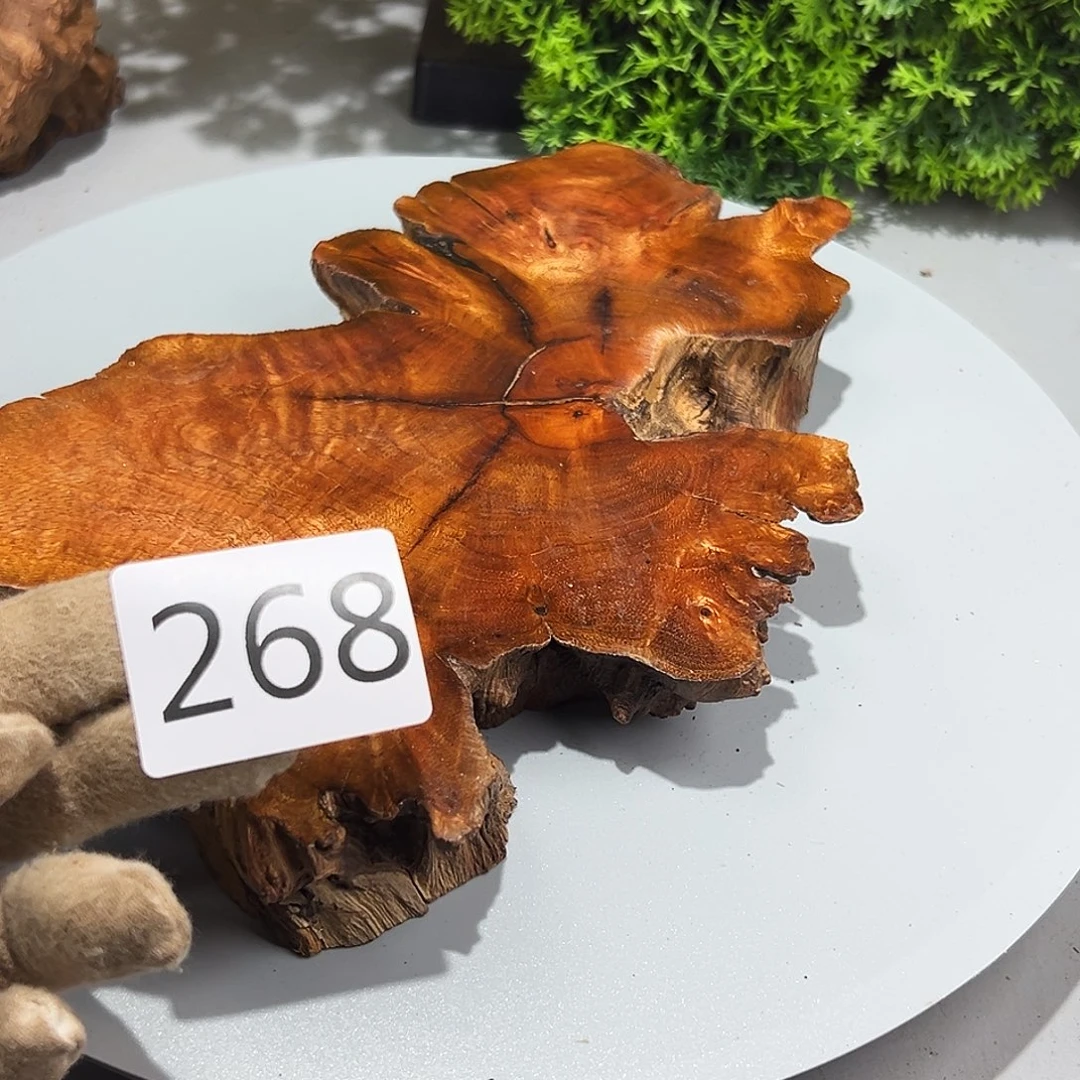 梨木无*头火琉璃……火琉璃