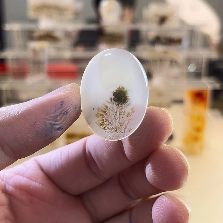 未镶嵌吊坠(不含链)玛瑙/玉髓