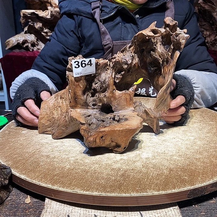 心***。364。株木随行根艺