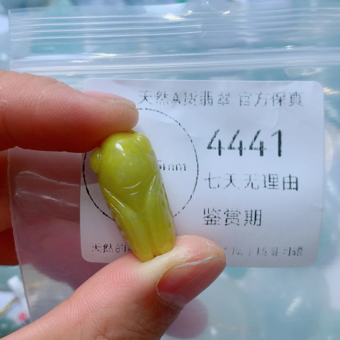 翡翠未镶嵌吊坠(不含链)翡翠