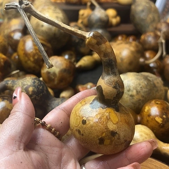 豆****呼葫芦葫芦葫芦葫芦