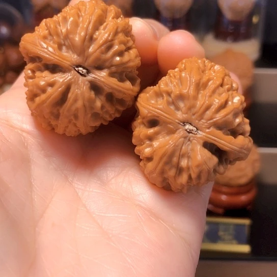 不*翁野生小众：滚石肚38尺