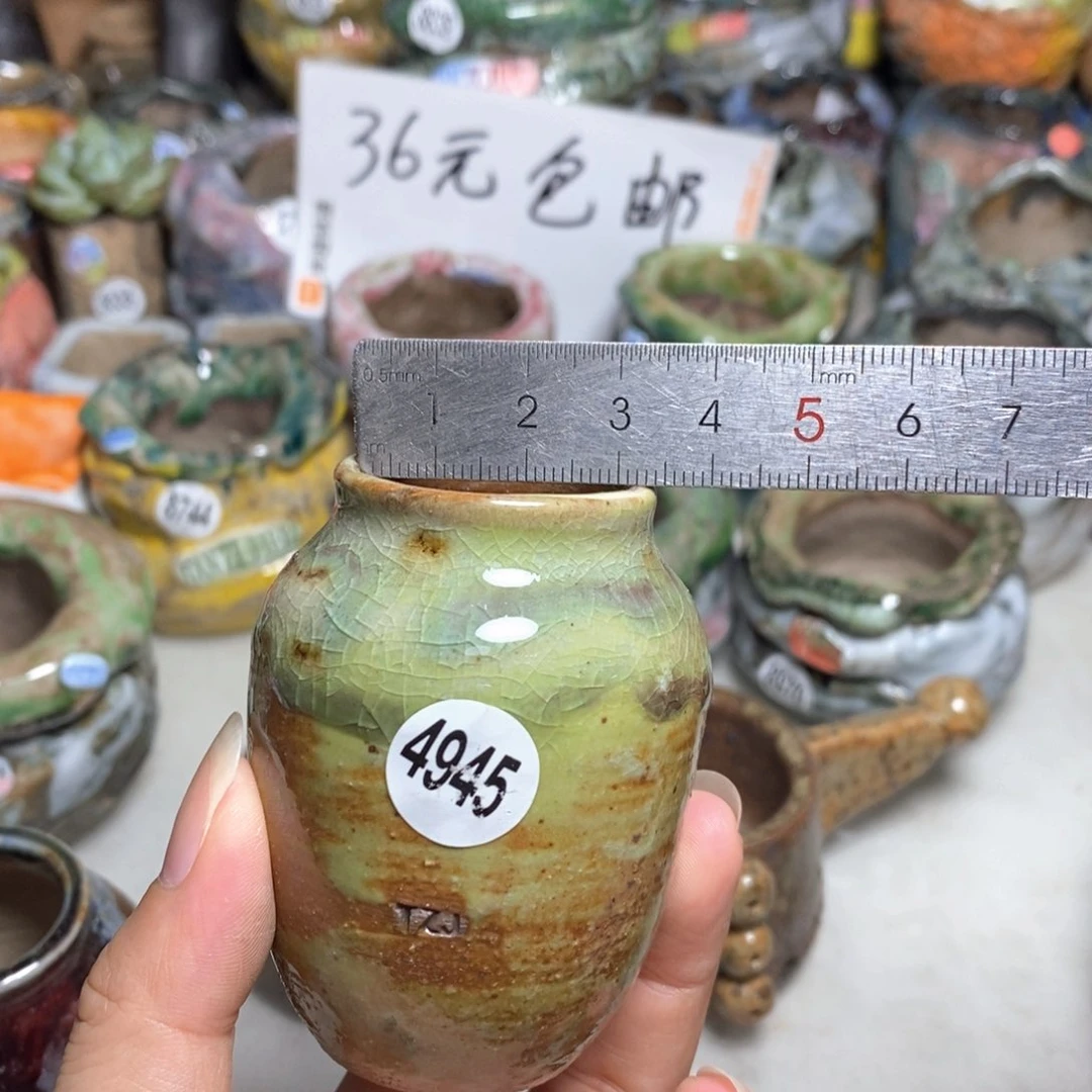 拍5送一个小礼物