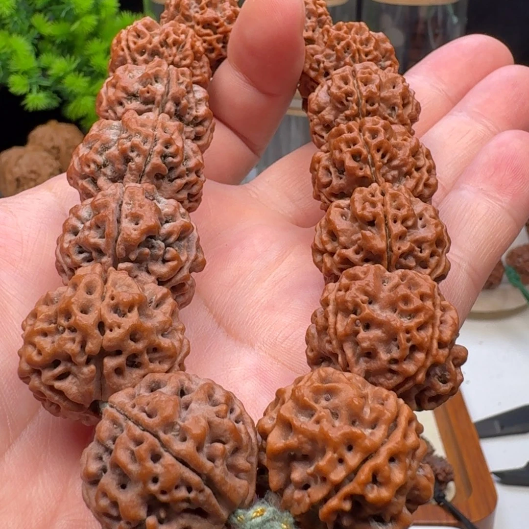 手串金刚菩提粗筋蜂窝双龙