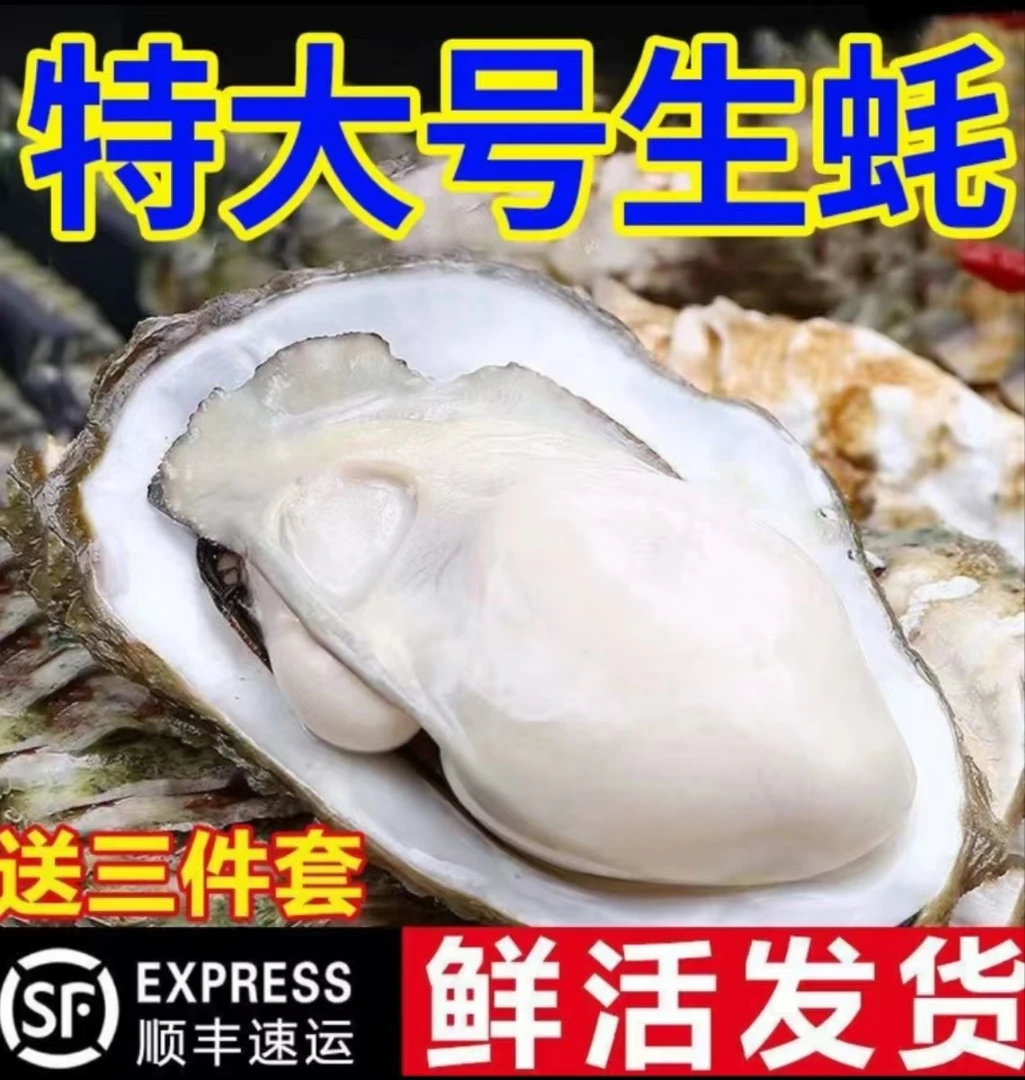 福利2【老兰只发新疆包邮】鲜活乳山特大3+生蚝3斤新鲜乌市直发包活