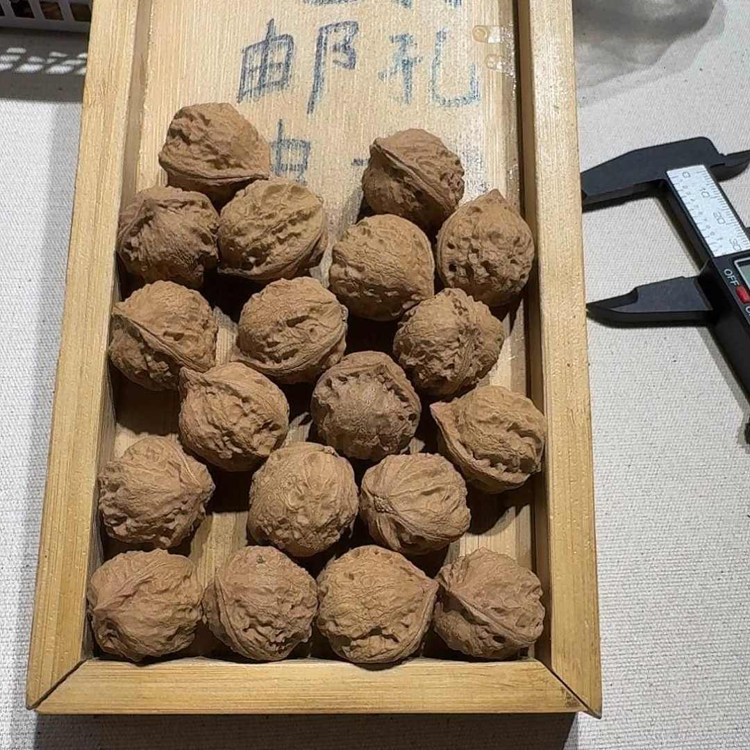 核桃手串/手链46号边23手持