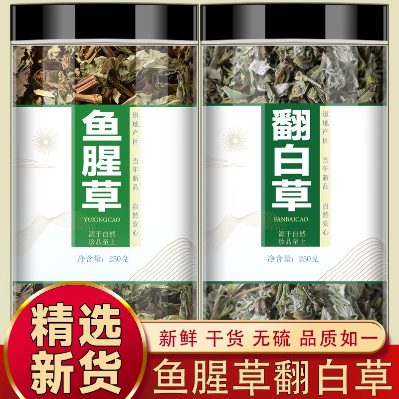翻白草鱼腥草中药材正品鱼腥草干草折耳根新货泛白草泡水喝茶功效