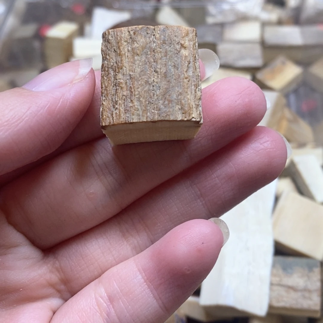 星***沉猛犸原材料边角料大块料