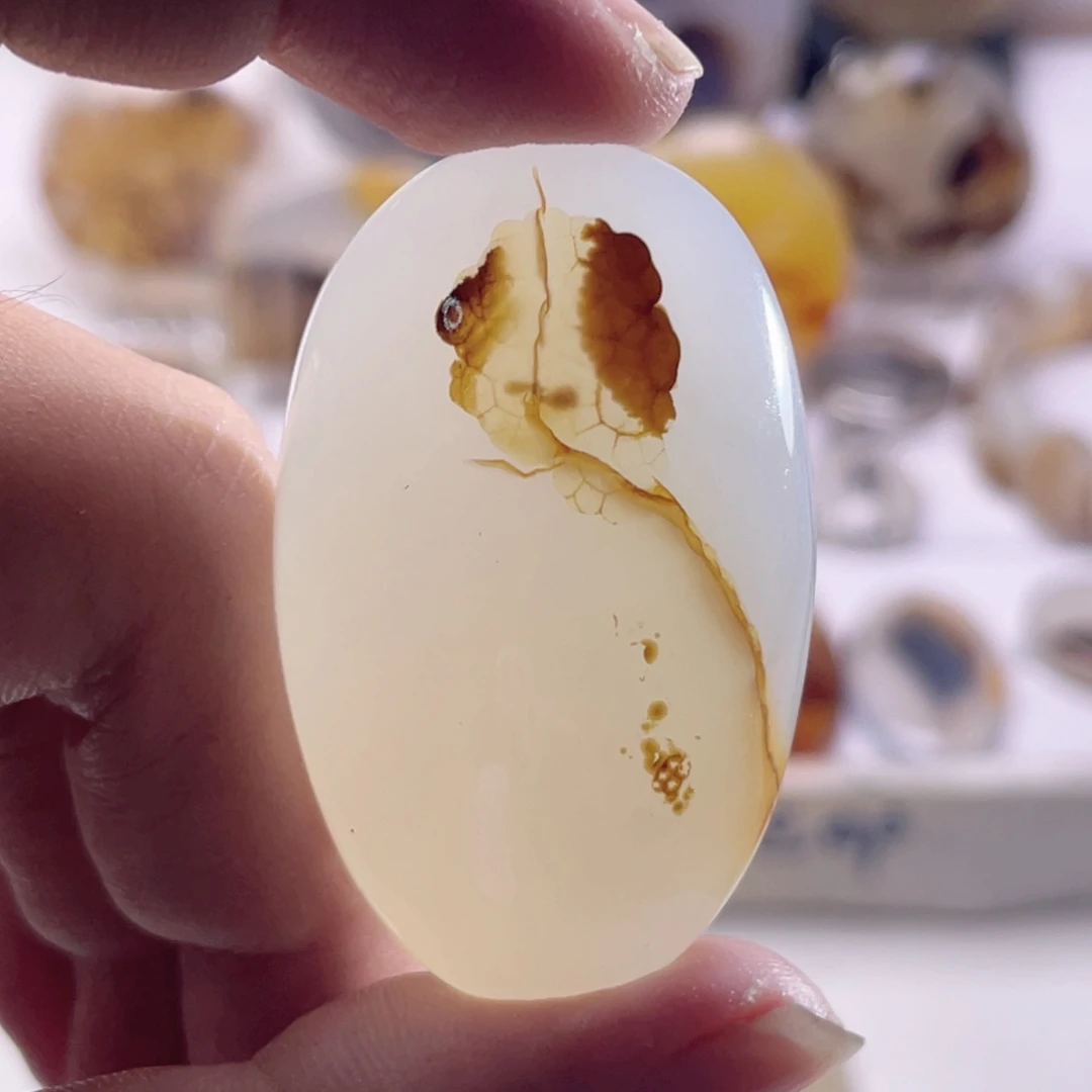 玛瑙/玉髓未镶嵌珠宝奇石