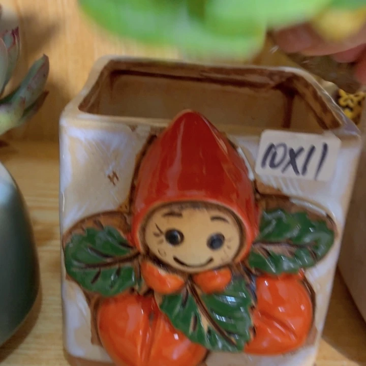 多肉花盆满15包邮