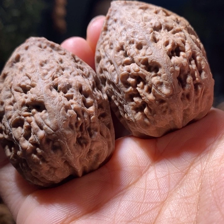 把件文玩核桃东北楸子 239