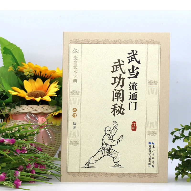 武术流通门武功技击九宫门拳械功法上下册阐秘三十二势长拳正版