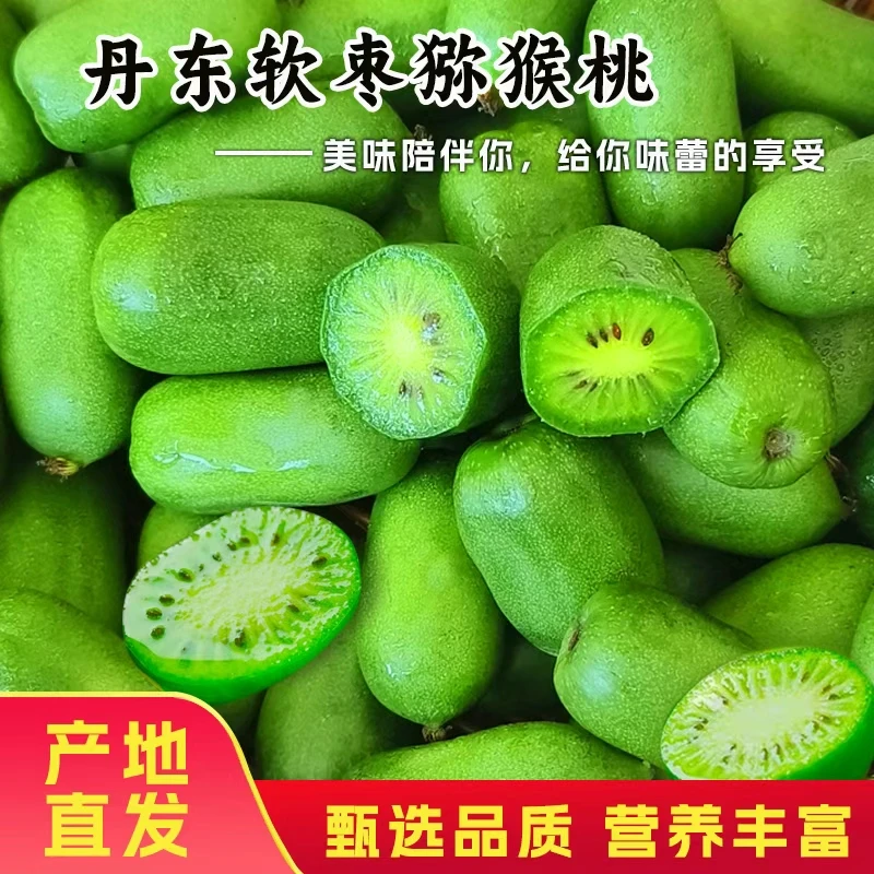 【到手30-45个】丹东软枣小猕猴桃奇异果圆枣子【收到货后放软了吃】