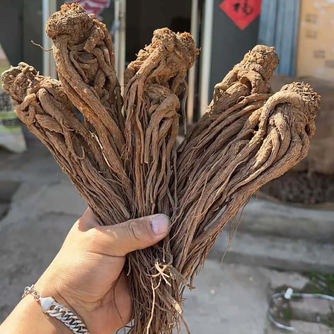 甘肃岷县特产深山整颗当归自然晾晒滋补煲汤泡酒佳品