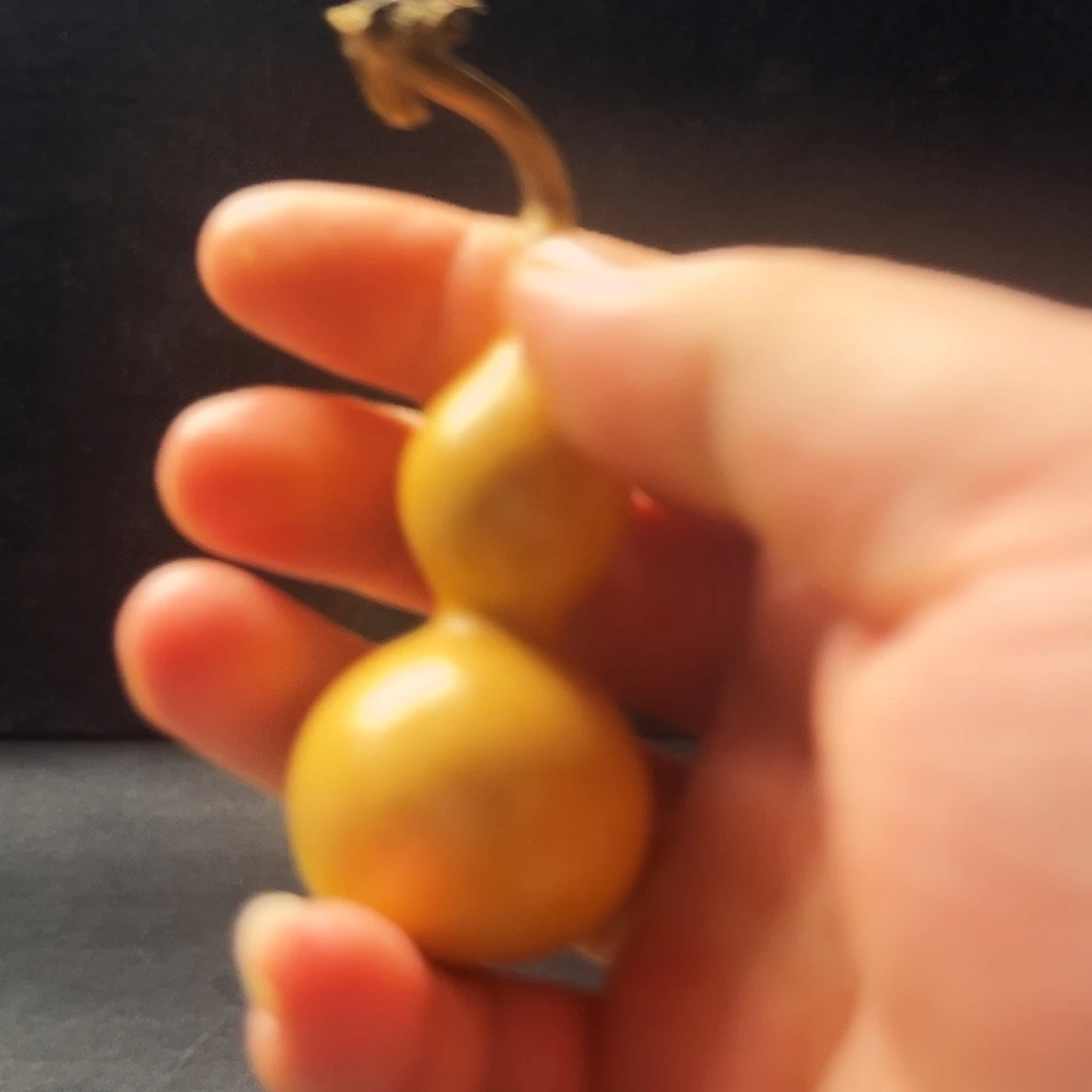 五***七精品天津嘴八宝葫芦