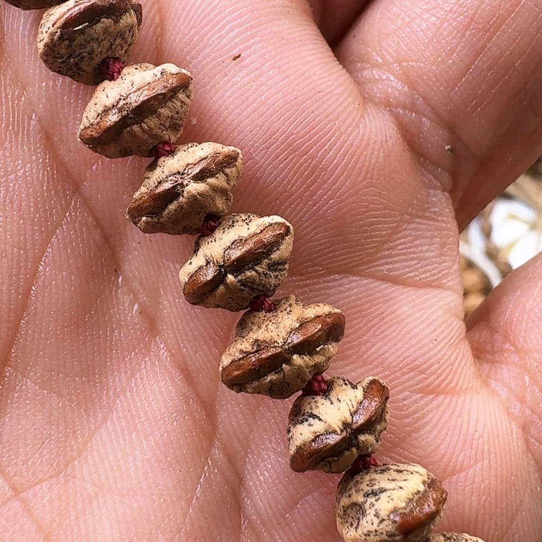 柏香籽/百香籽手串W****霆