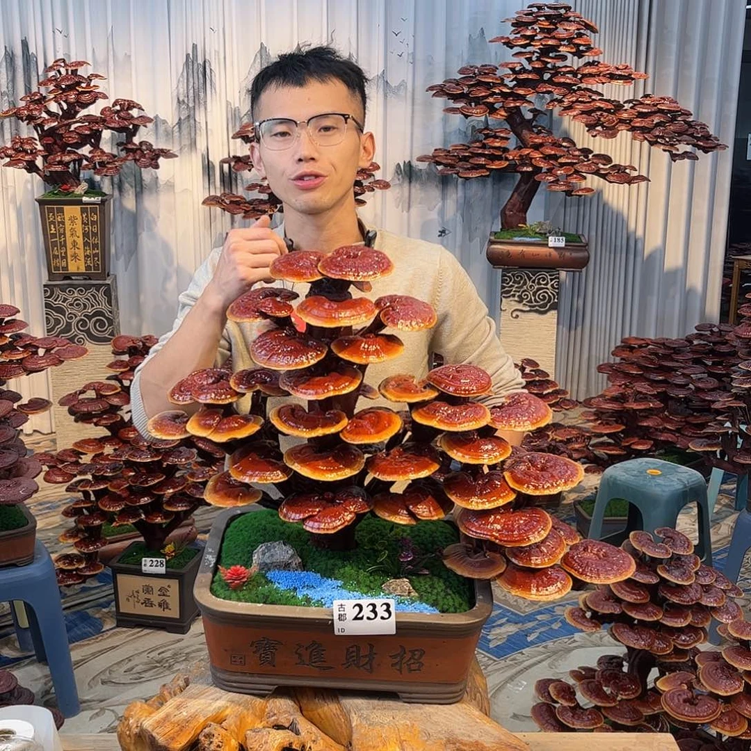 无花朵88888888888