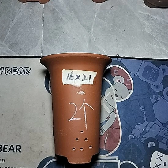 小红兰花两个微瑕