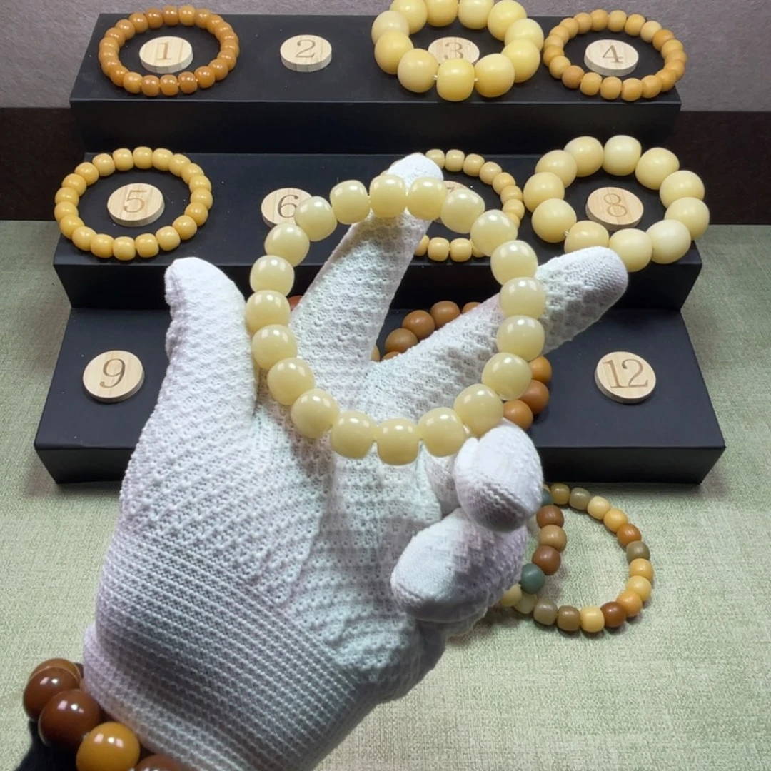 手串菩提根/象牙果