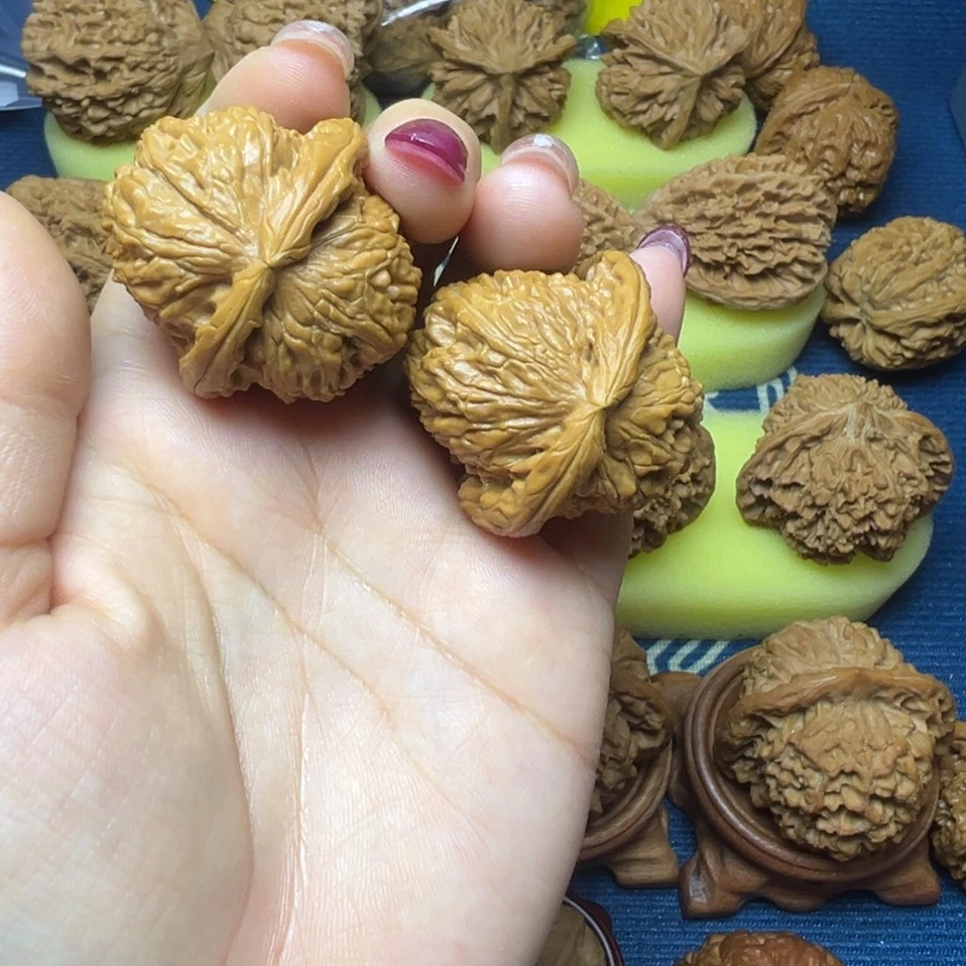 木质打底白狮子白狮子