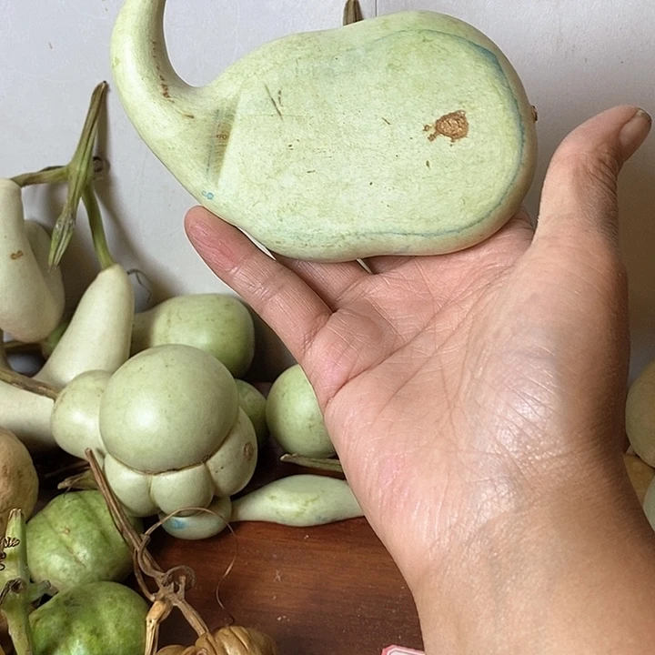雾***i青皮葫芦手把件摆件