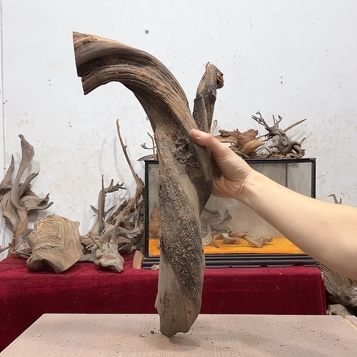 柏木笑***1我们都是好孩子呀我也是