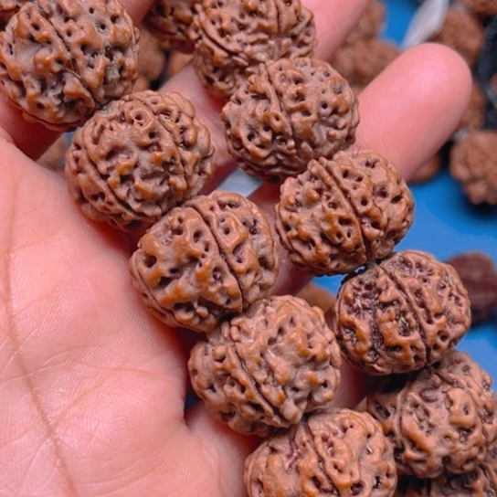 金刚菩提手串v0087/22/5