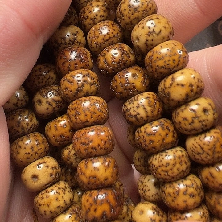 我们都是在等你们过来一起看的