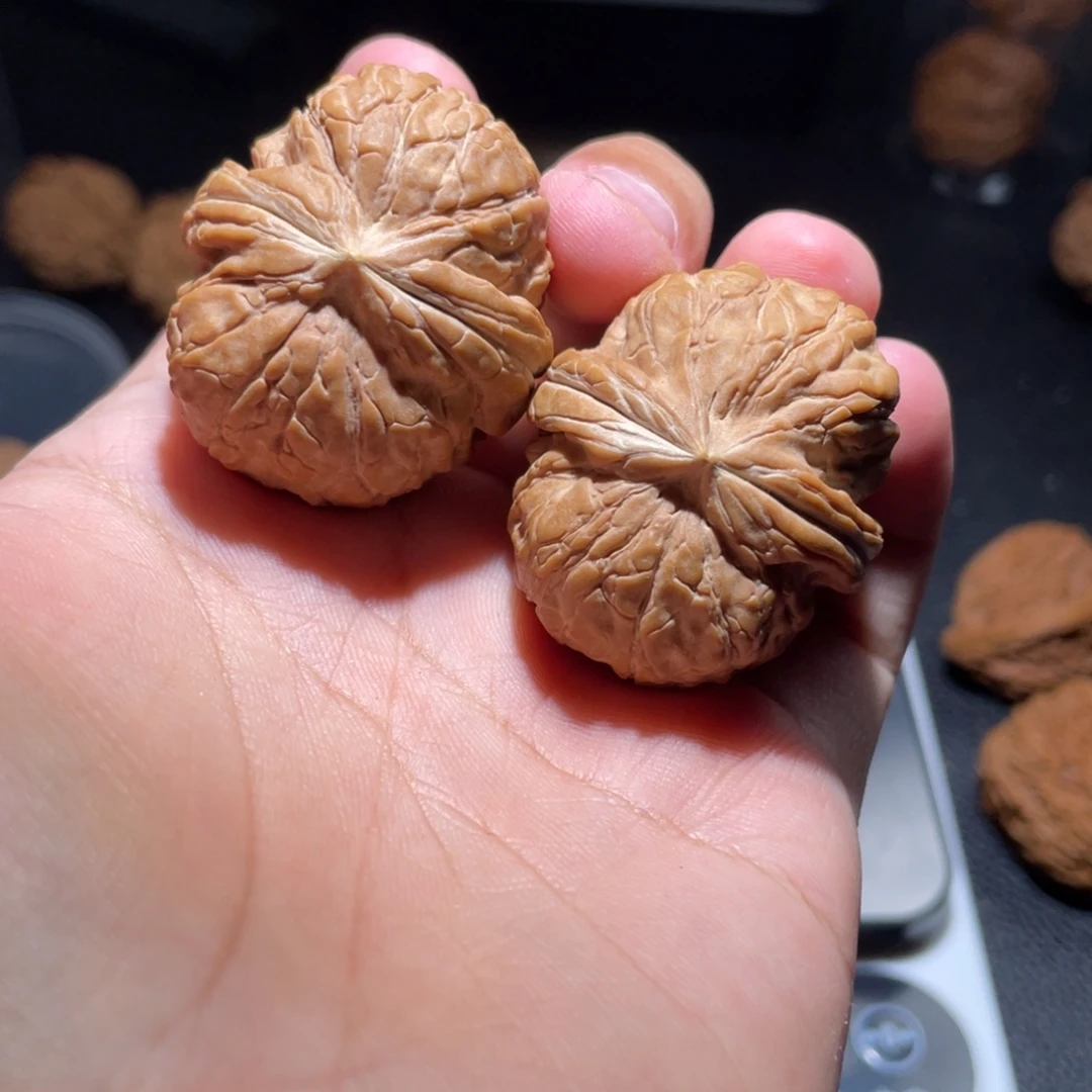 核桃yushiyuanbao