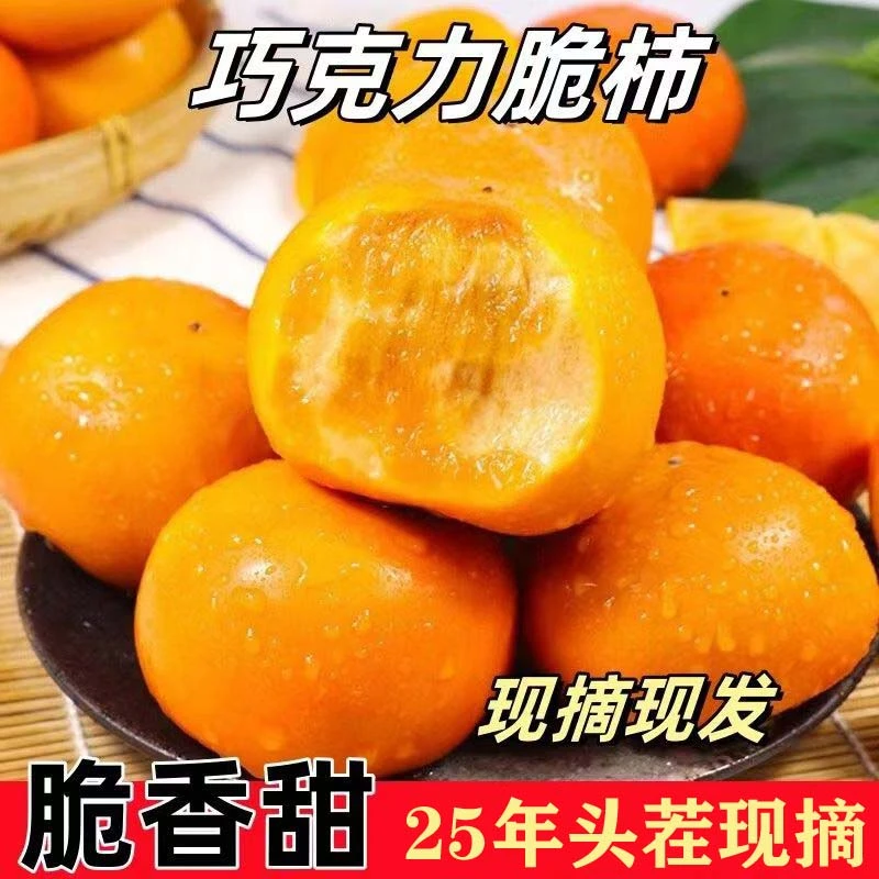 【不涩口不麻嘴】山西阳丰脆柿巧克力冰糖心脆柿子当季新鲜脆甜柿子