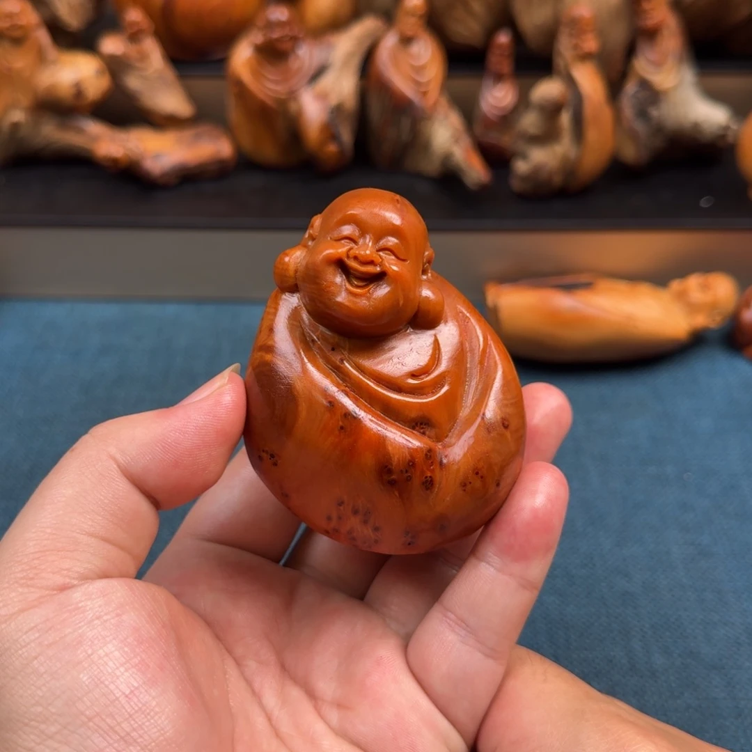 柏木（崖柏）太行崖柏