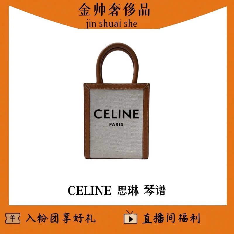 99新 Celine/思琳 琴谱/单肩包/B1543